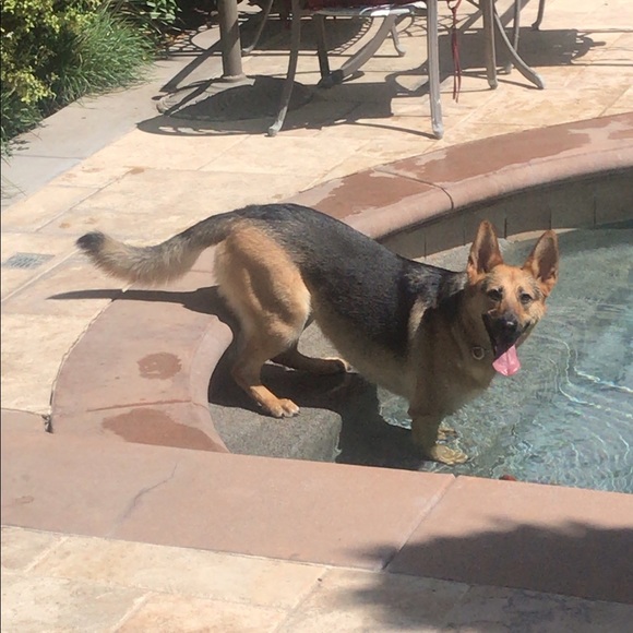 About Wildernessmags! ππ§‘π - Picture 2 of 5